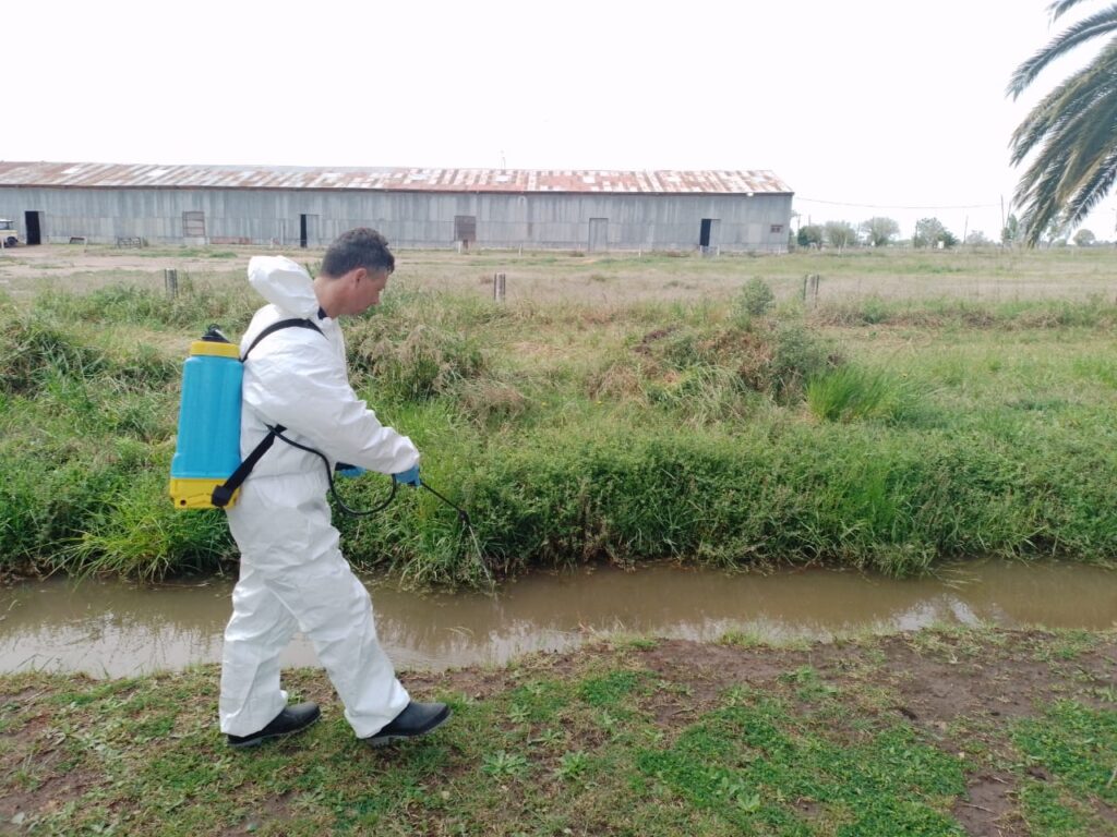 COMENZARON LAS TAREAS DE FUMIGACIÓN EN ESPACIOS VERDES Y COLOCACIÓN DE ...